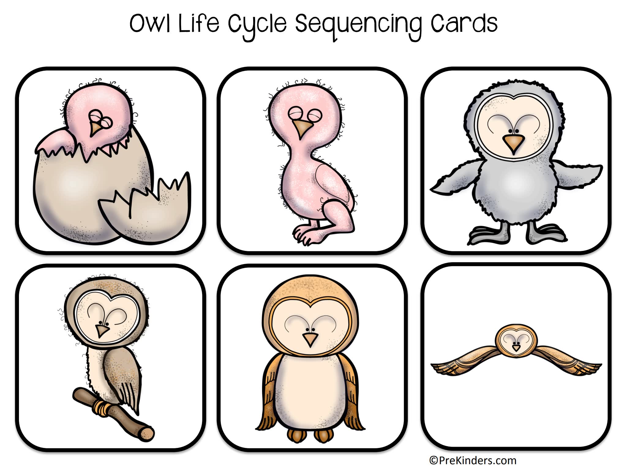 《Fall Life Cycle Science》自然生命科学6册英文作业纸