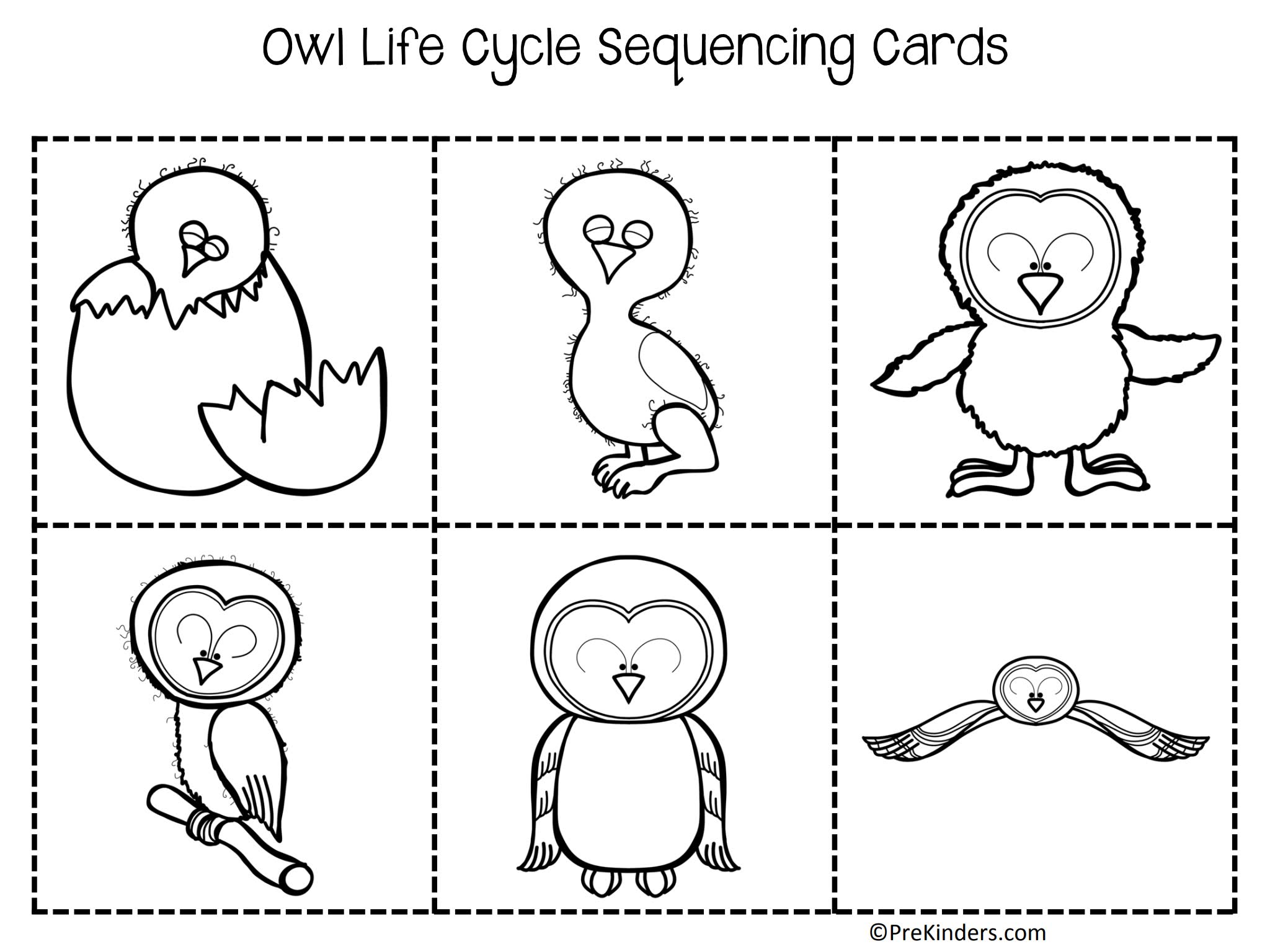 《Fall Life Cycle Science》自然生命科学6册英文作业纸
