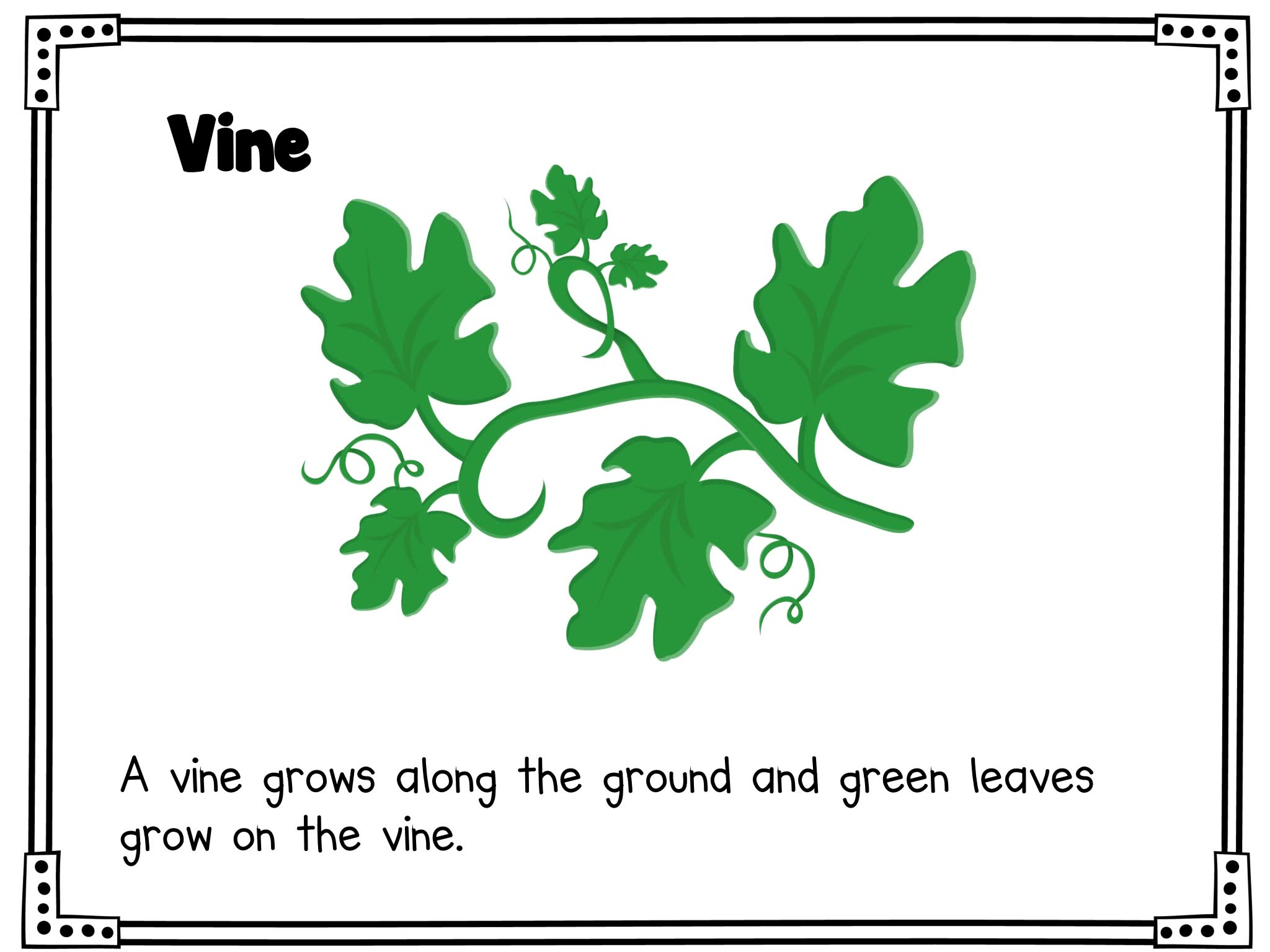 《Fall Life Cycle Science》自然生命科学6册英文作业纸