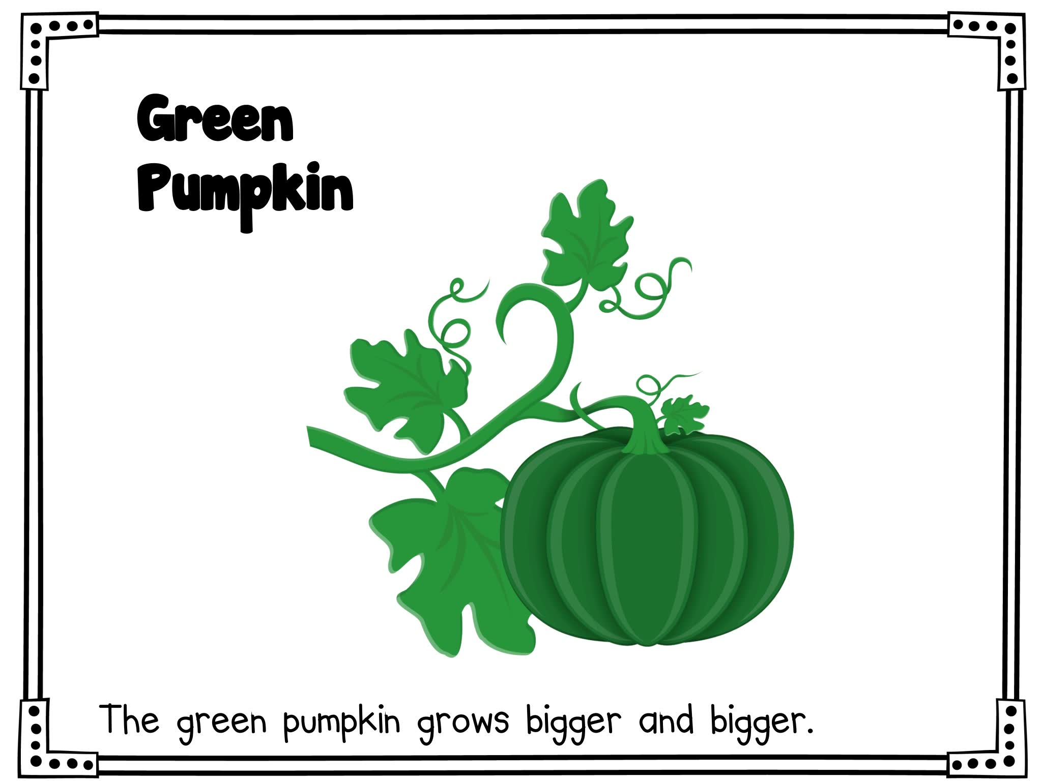 《Fall Life Cycle Science》自然生命科学6册英文作业纸