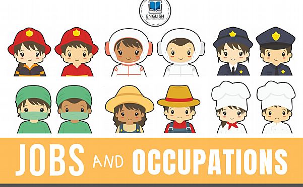 《Jobs and Occupations》职业认知启蒙英文闪卡PDF