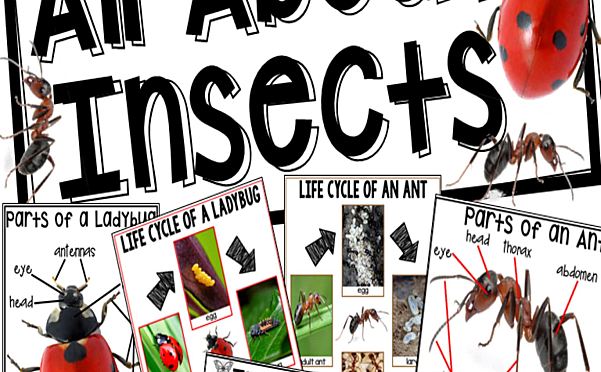 《Science for Little Learners》六册科学启蒙英文练习PDF