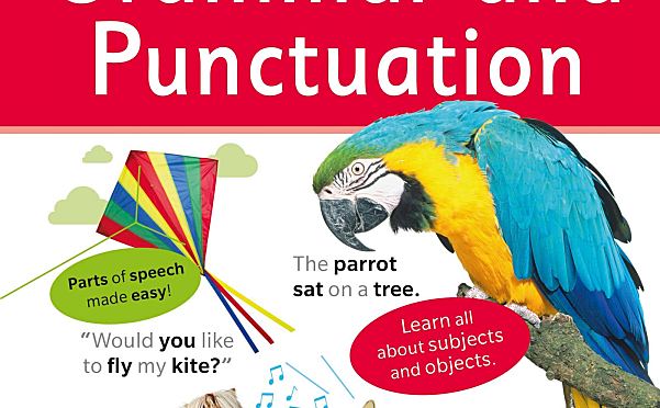 《Visual Guide to Grammar and Punctuation》DK语法辅助图解词典PDF