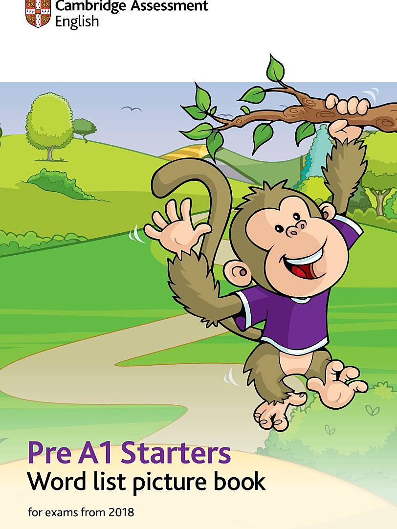 《young learner Starters/Movers/Flyers》剑桥青少儿英语辅导书闪卡