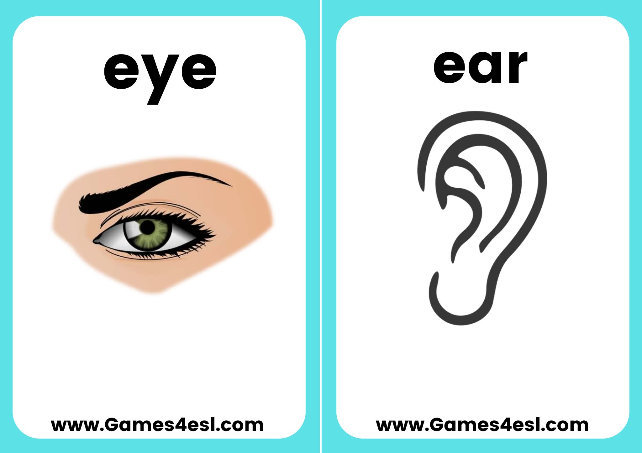 《教师版+学生版启蒙单词卡》精美主题英文闪卡