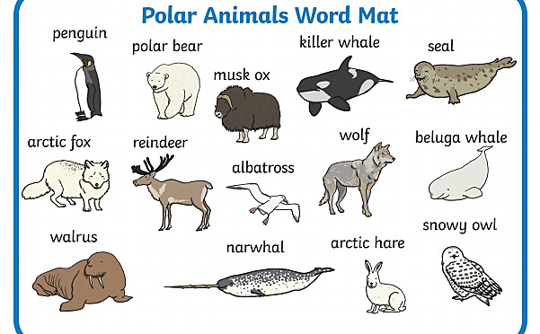 《16个分类原版英文单词挂图海报》英语单词启蒙PDF