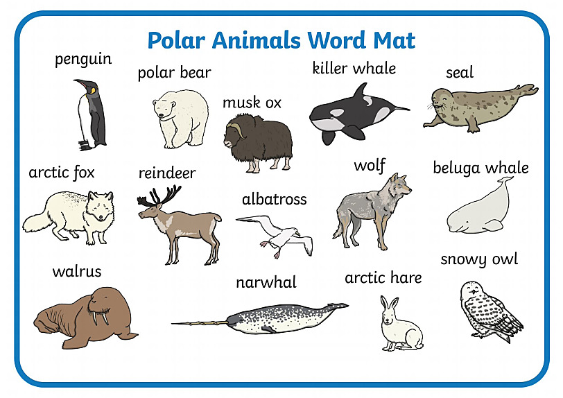 《16个分类原版英文单词挂图海报》英语单词启蒙PDF