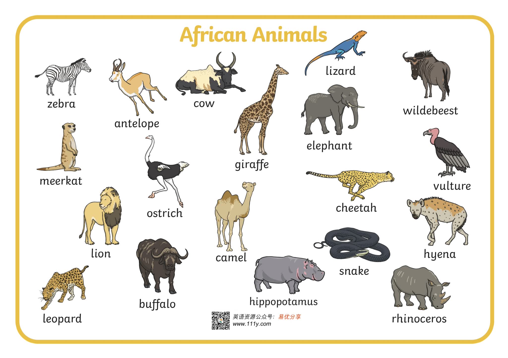《16个分类原版英文单词挂图海报》英语单词启蒙PDF