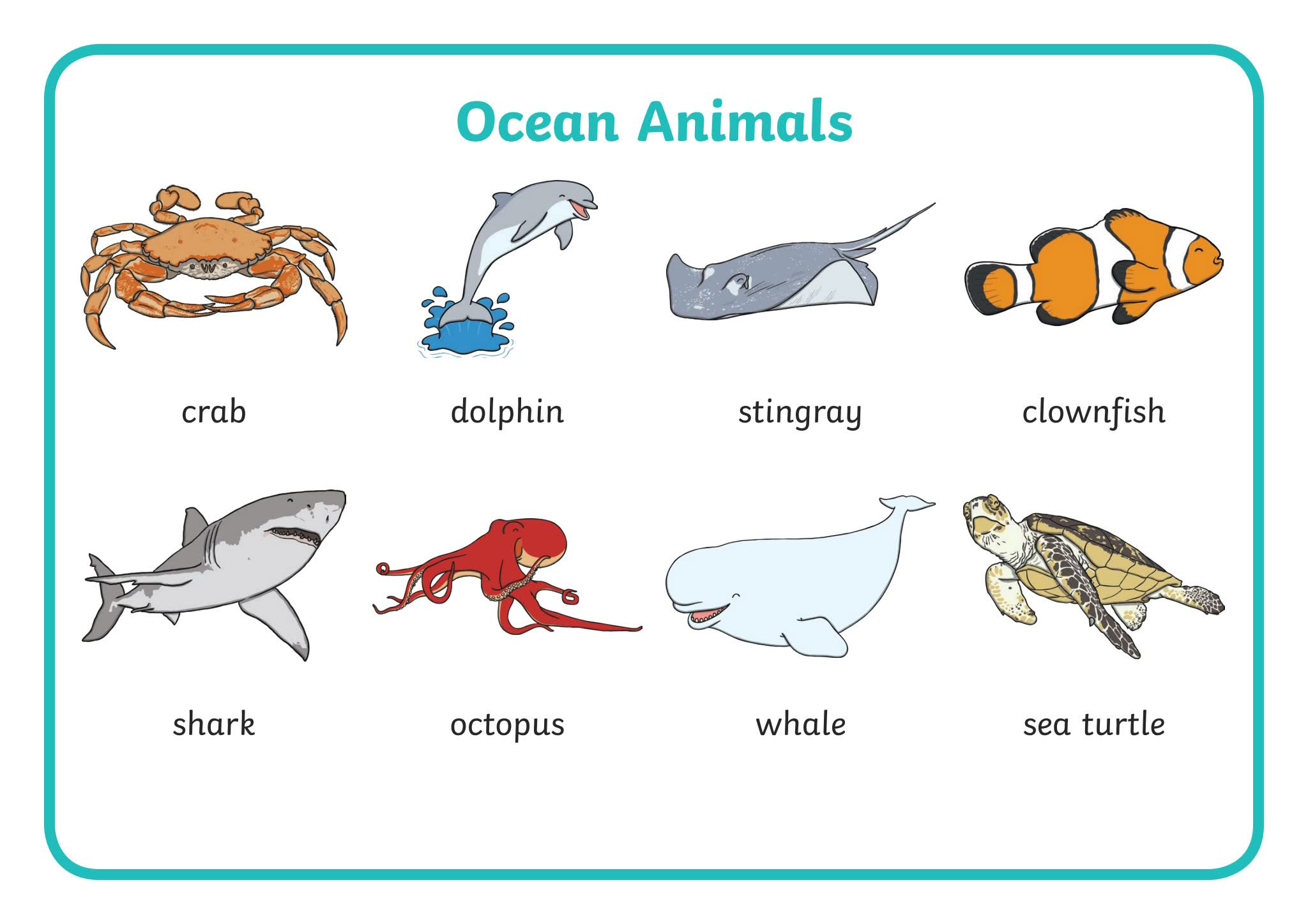 《16个分类原版英文单词挂图海报》英语单词启蒙PDF