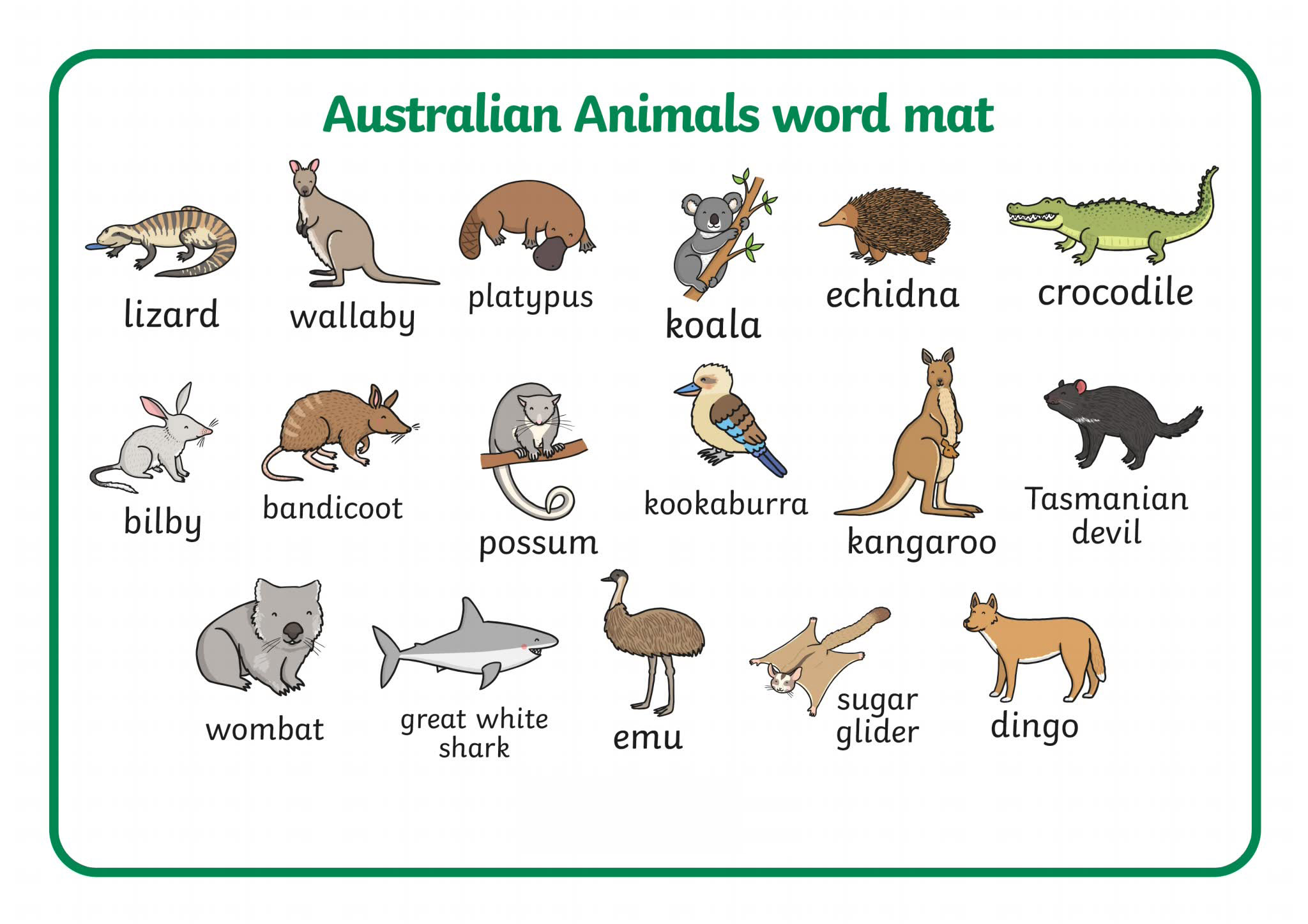 《16个分类原版英文单词挂图海报》英语单词启蒙PDF