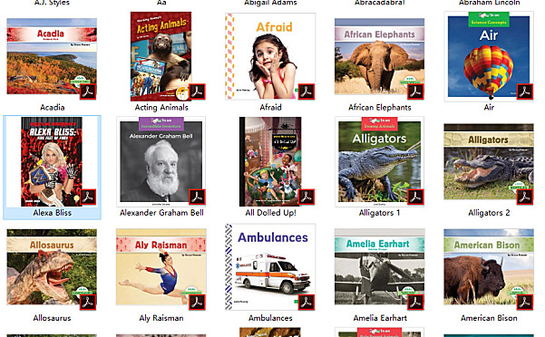 1250本Abdo Digital英文绘本电子书集合