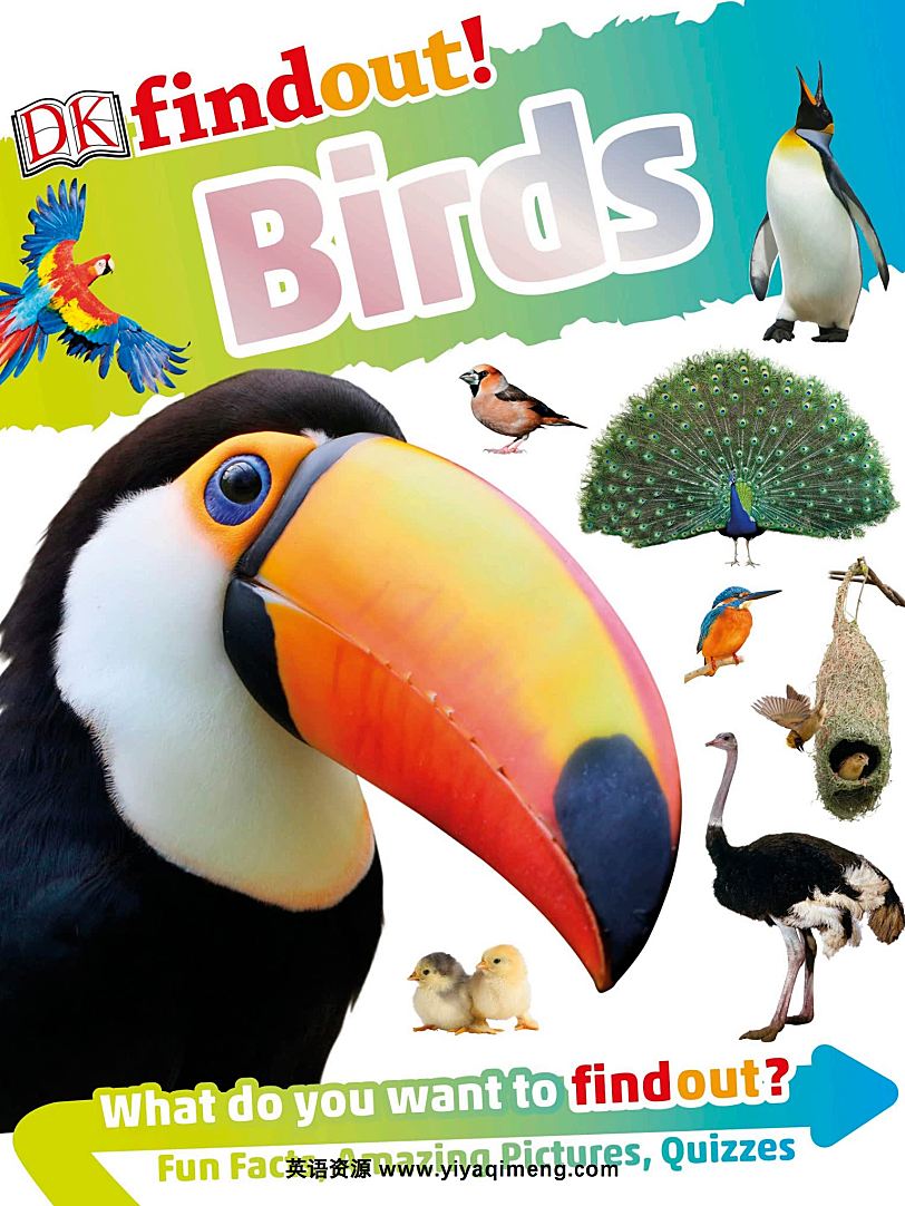 DK Findout百科知识系列31本 科普英文绘本PDF