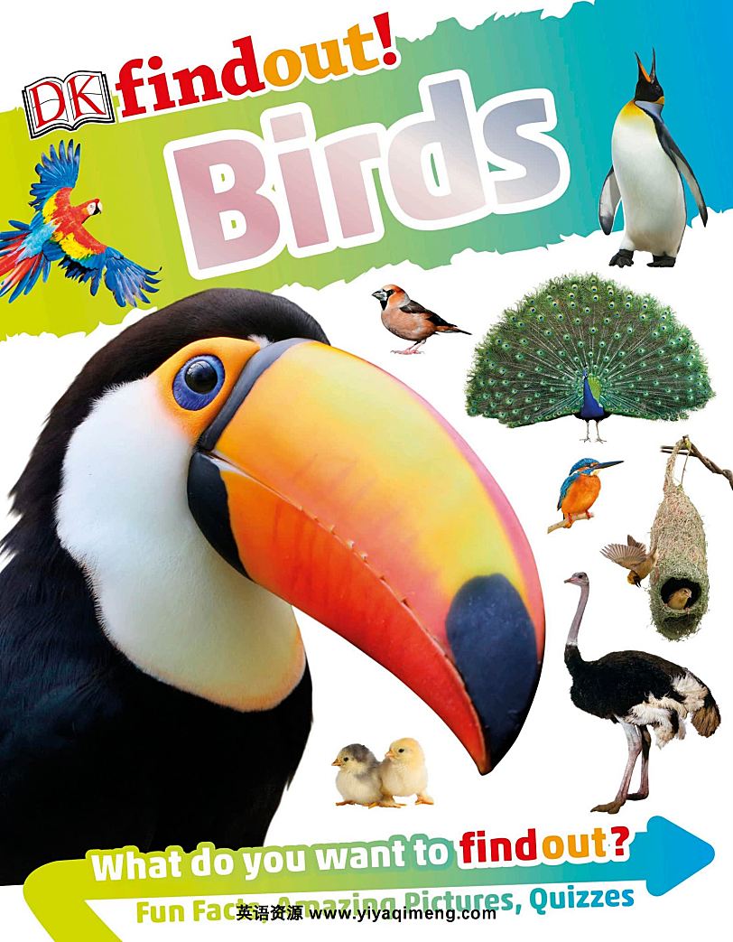 DK Findout百科知识系列31本 科普英文绘本PDF