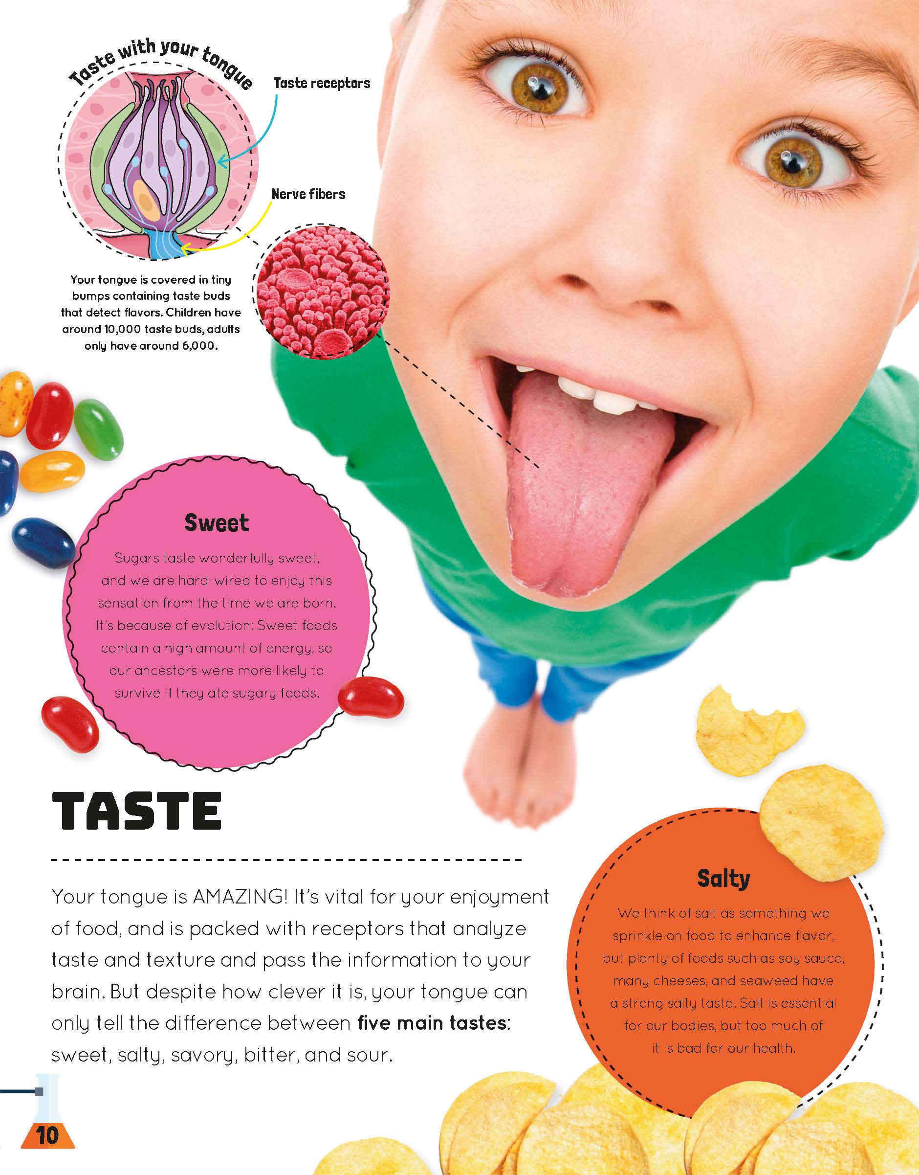DK科普知识Science You Can Eat 可以吃的科学英文绘本