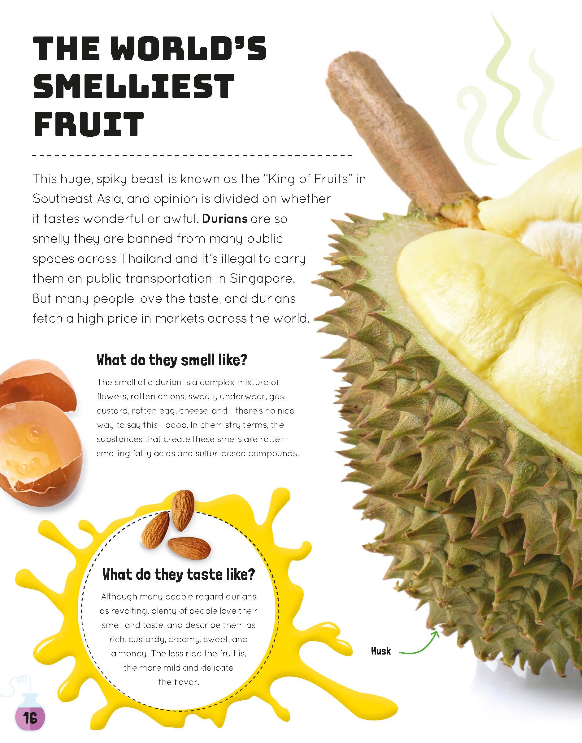 DK科普知识Science You Can Eat 可以吃的科学英文绘本