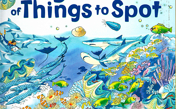 The Usborne Big Book of Things to Spot 趣味大发现绘本认知启蒙