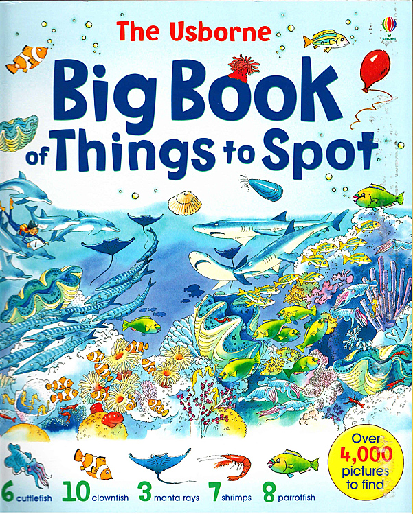 The Usborne Big Book of Things to Spot 趣味大发现绘本认知启蒙