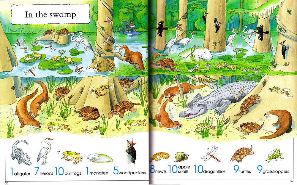 The Usborne Big Book of Things to Spot 趣味大发现绘本认知启蒙