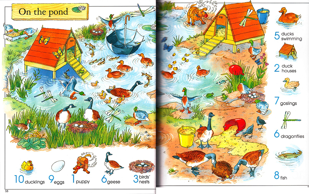 The Usborne Big Book of Things to Spot 趣味大发现绘本认知启蒙