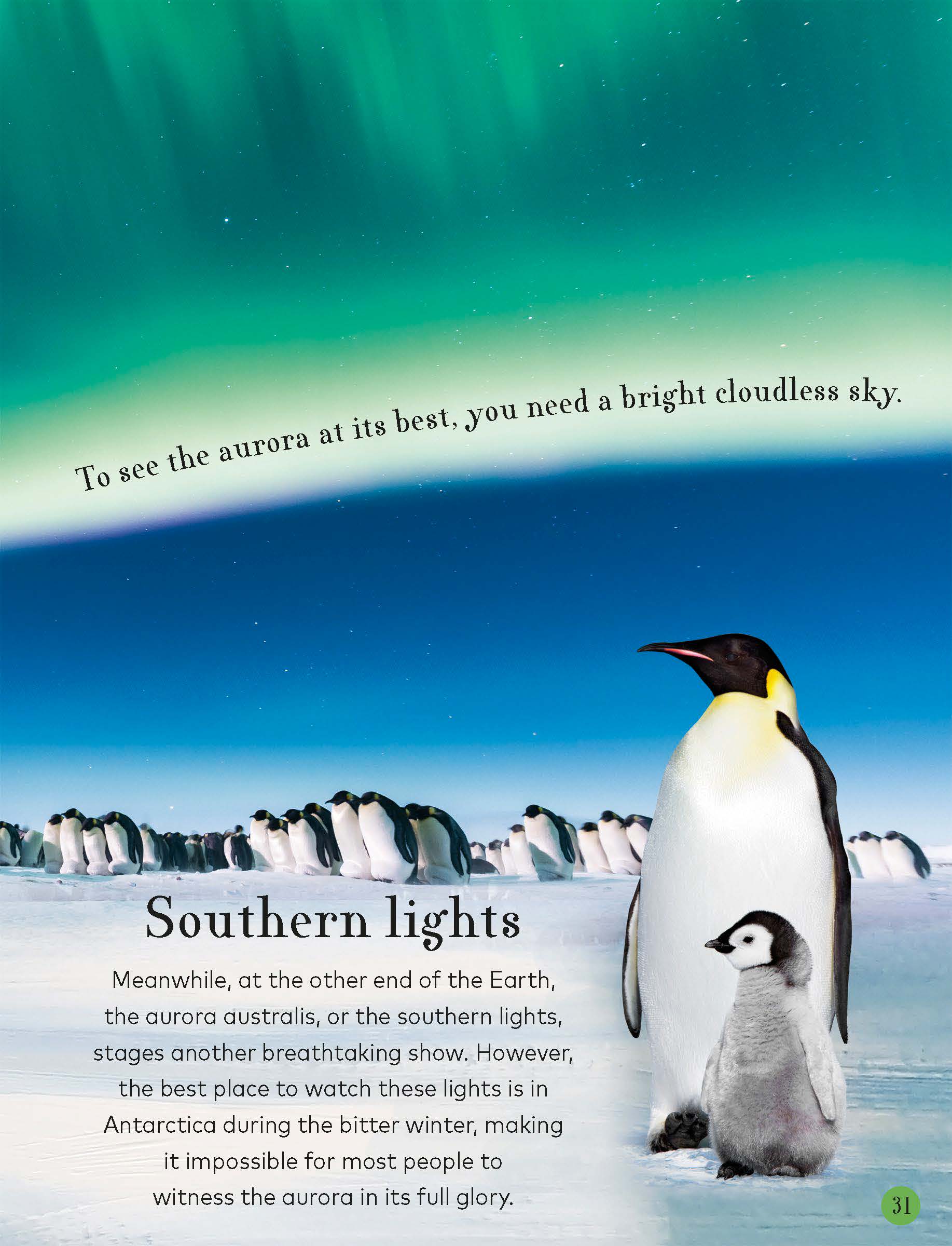 《Through the Night Sky》穿越夜空DK科普知识英文绘本PDF