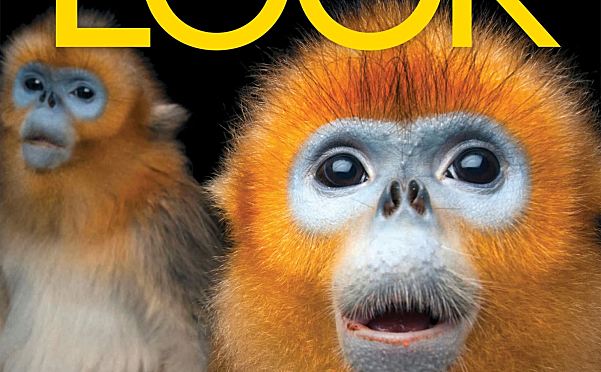 国家地理LOOK教材 少儿英语