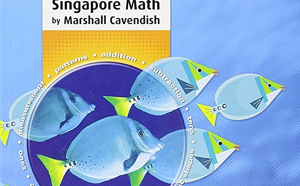 新加坡数学练习册Math in Focus Workbook