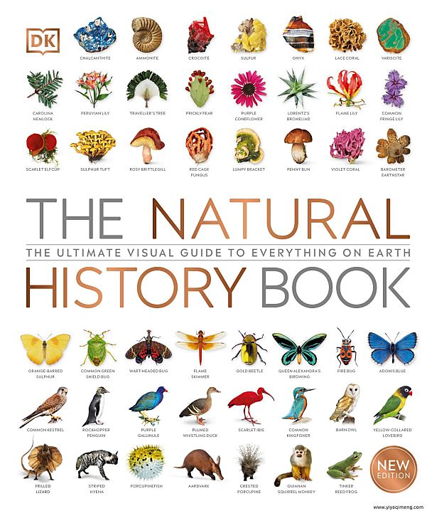 DK自然史科普知识英文绘本The Natural History Book