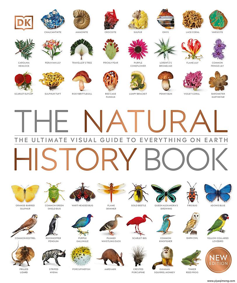 DK自然史科普知识英文绘本The Natural History Book