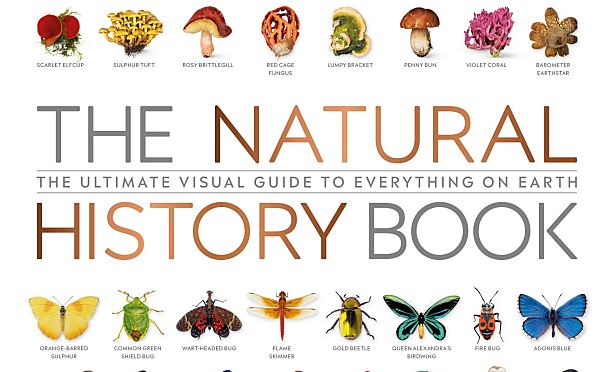 DK自然史科普知识英文绘本The Natural History Book