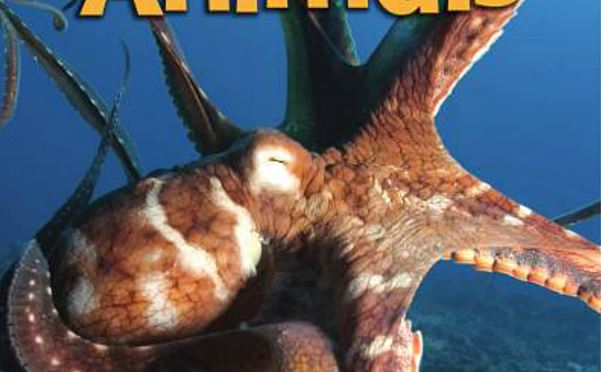 启蒙阅读教材Literacy by Design系列(幼儿园、小学1-2年级教材)