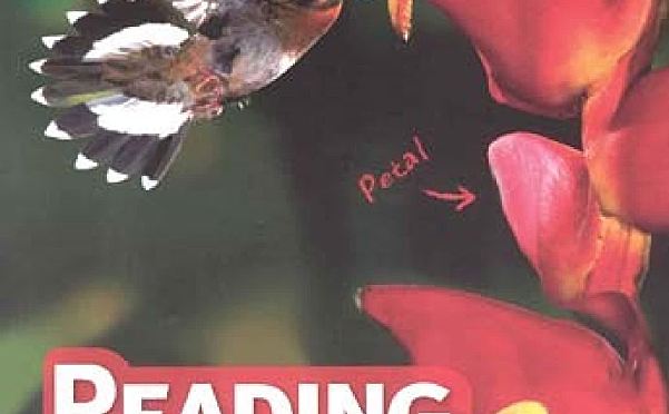 美国小学生Non-fiction英文阅读理解强化训练书 Reading Juice For Kids