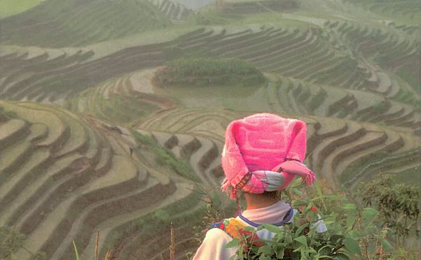 美国国家地理Global Issues系列全套3个级别36册演讲辩论优秀素材