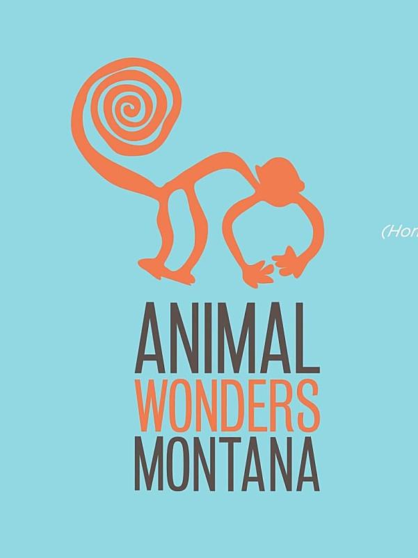 动物科普剧 Animal Wonders 动物奇观