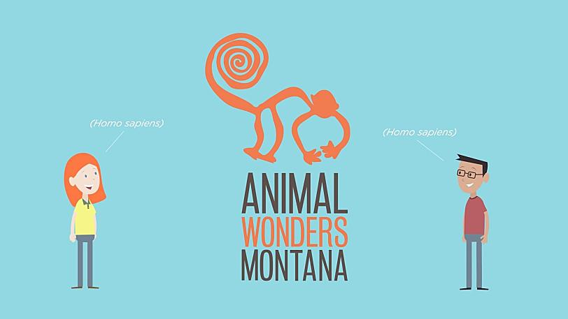 动物科普剧 Animal Wonders 动物奇观