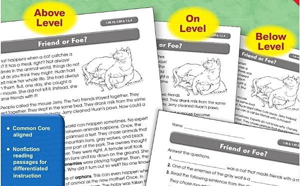 差异化阅读练习册 Differentiated Reading for Comprehension