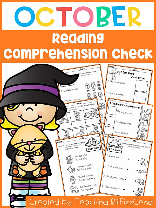 阅读理解入门级练习册Reading Comprehension Check