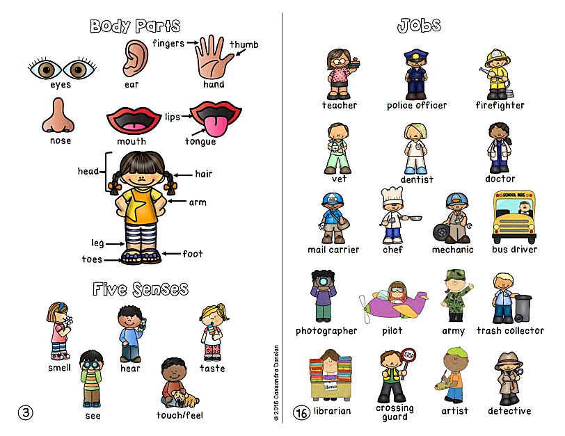 Vocabulary for Ells 21个主题英语词汇书