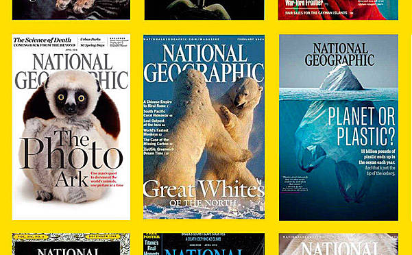 小探险家双语百科视频音频知识卡