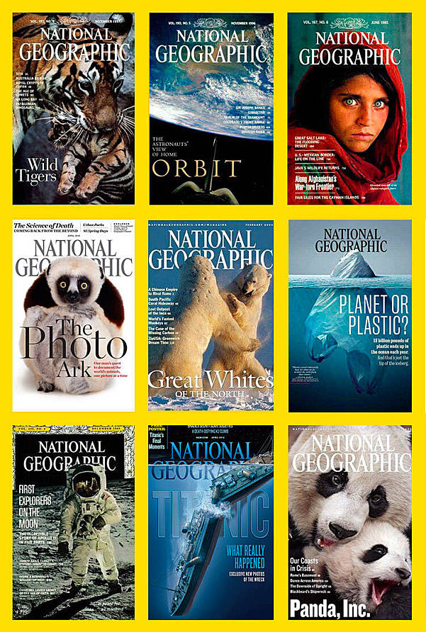 小探险家双语百科视频音频知识卡