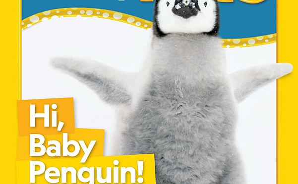 National Geographic Little Kids美国国家地理杂志幼儿版双月刊