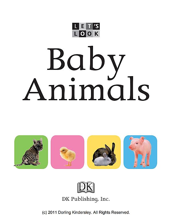 DK百科全书DK Lets Look系列