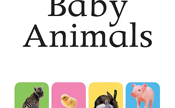 DK百科全书DK Lets Look系列