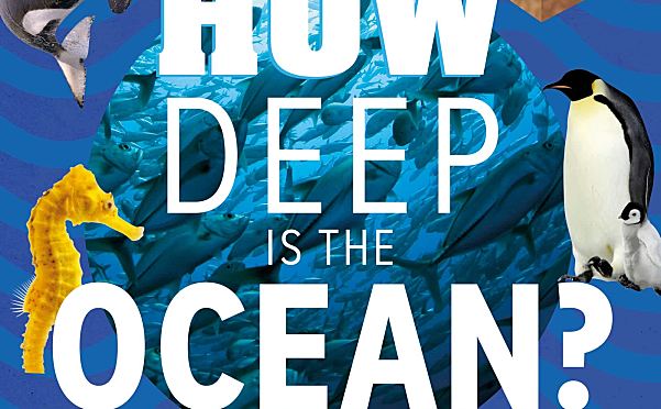 DK大海有多深 DK How Deep Is The Ocean