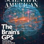 Scientific_American_-_January_2016