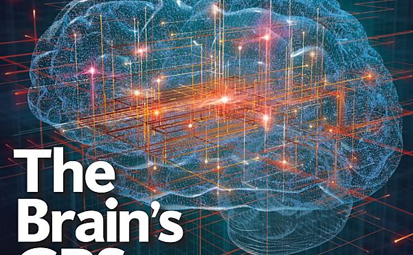 Scientific American科学美国人杂志英文版