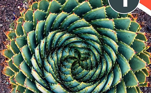 牛津初中数学教材Oxford MYP Mathematics