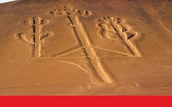 青少年英语考试预备教材Macmillan Code