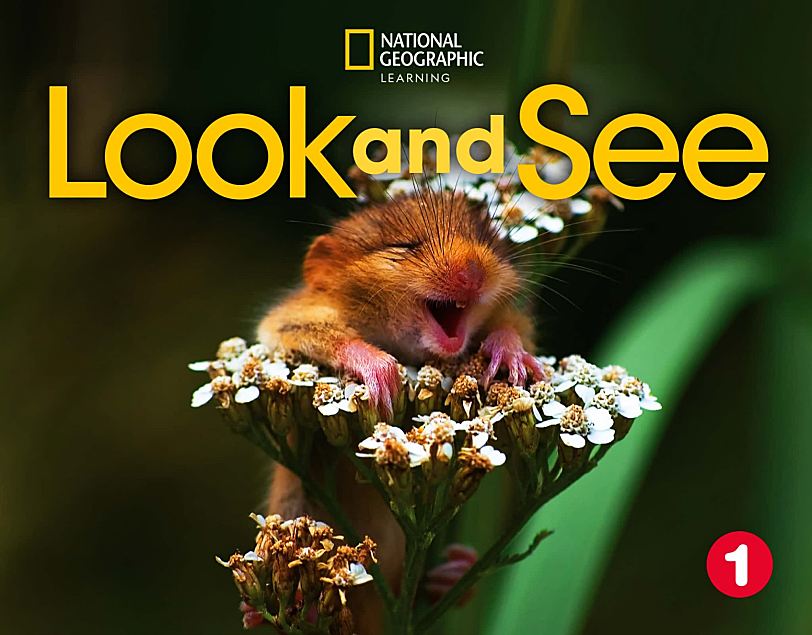 国家地理小学英语教材Look and See