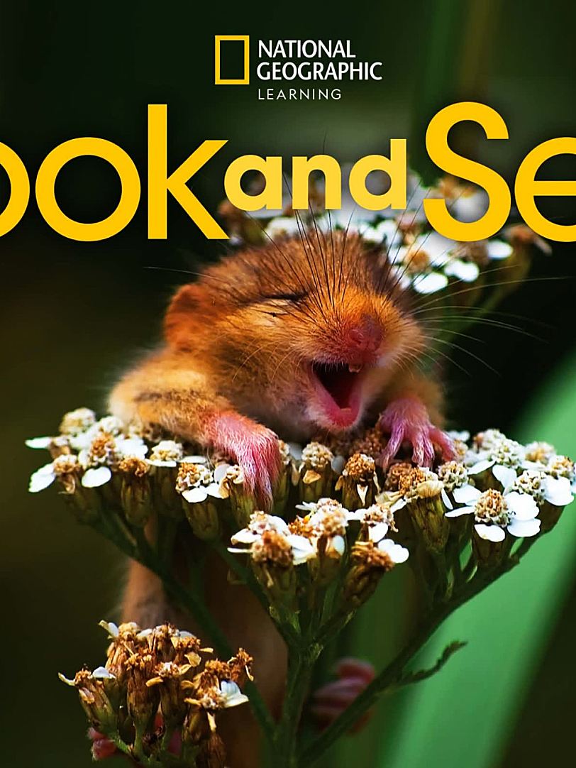 国家地理小学英语教材Look and See