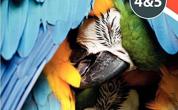 牛津生物学教材MYP Biology: A Concept-Based Approach